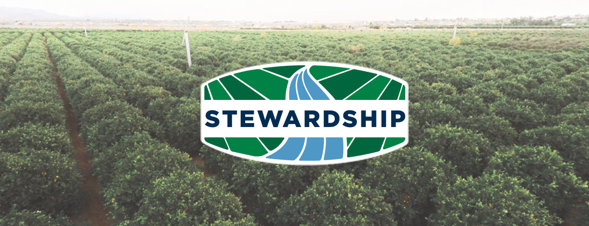 Mortgage Broker vs Bank